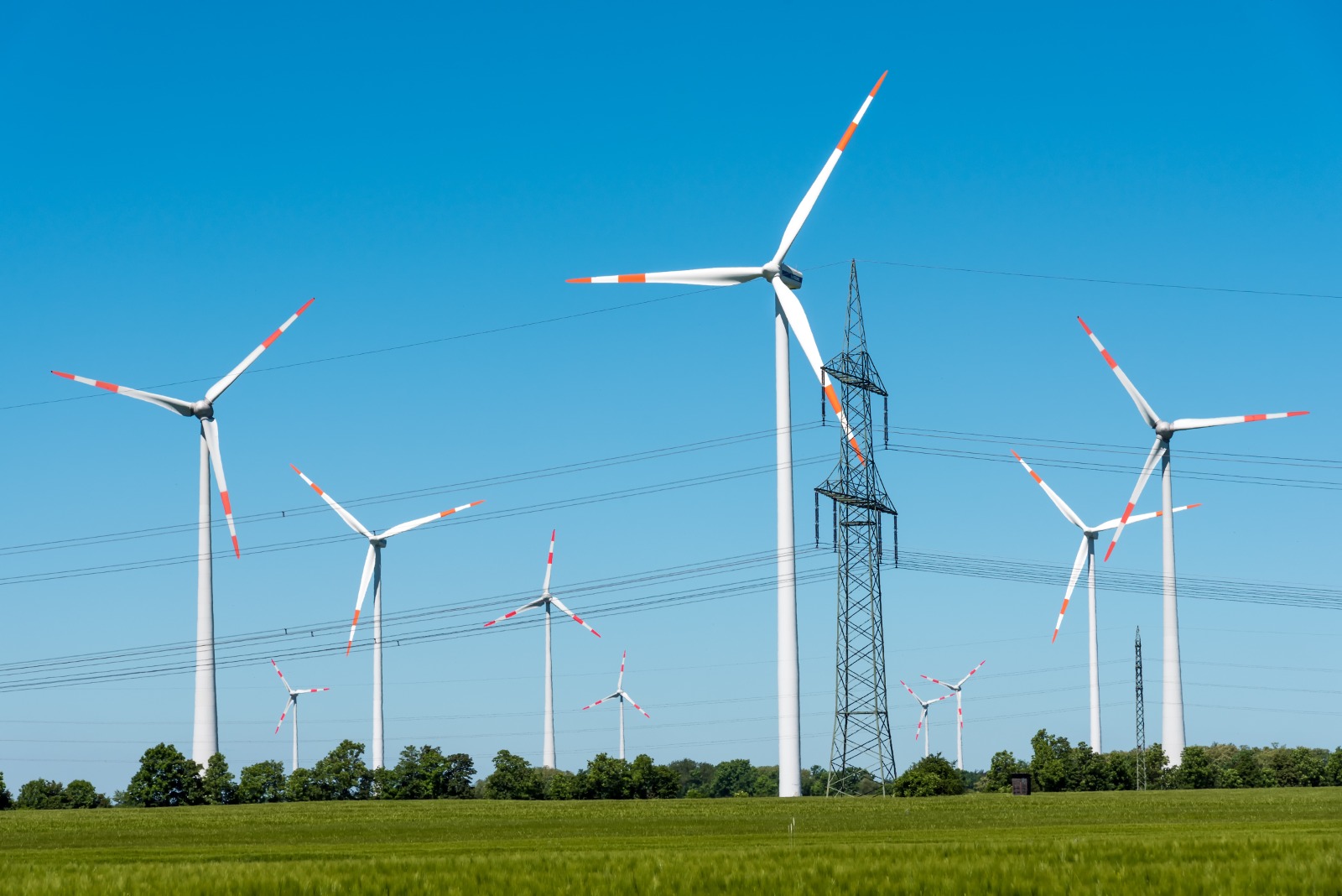 Lanzamiento Oficial de la Red Latinoamericana de Política Energética